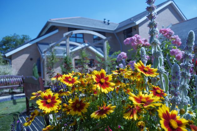 Phot of flowers in the garden at Barnsley Hospice