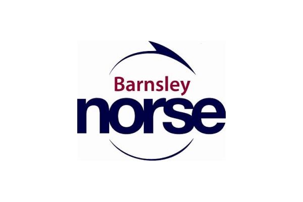 Barnsley Norse logo