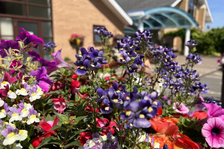 Close up photograph of flowers outside Barnsley Hospice reception