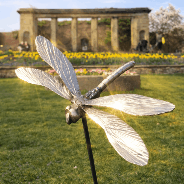 A dragonfly sculpture with gardens in background