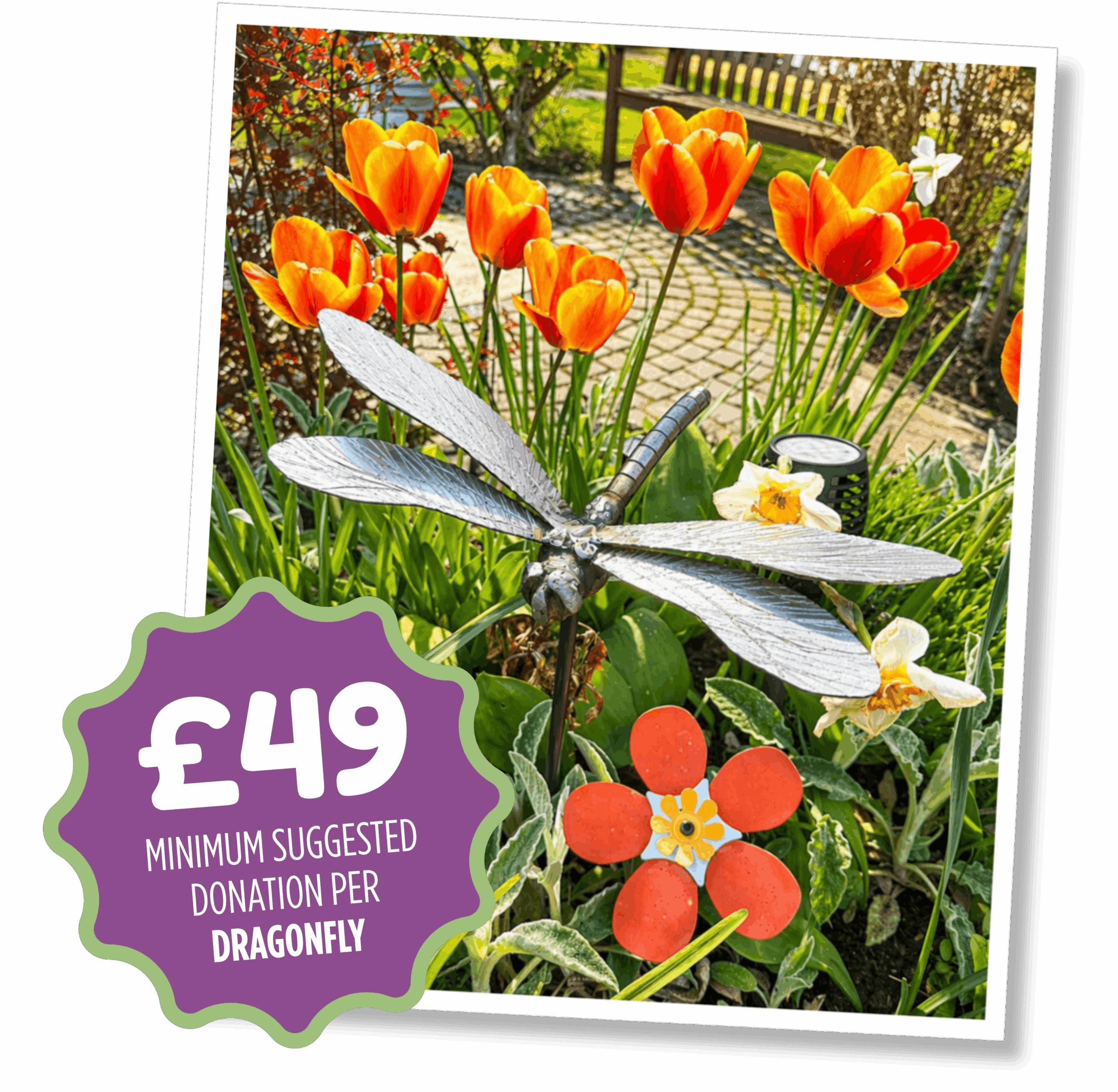 Dragonfly Appeal, £49 minimum suggested donation for dragonfly